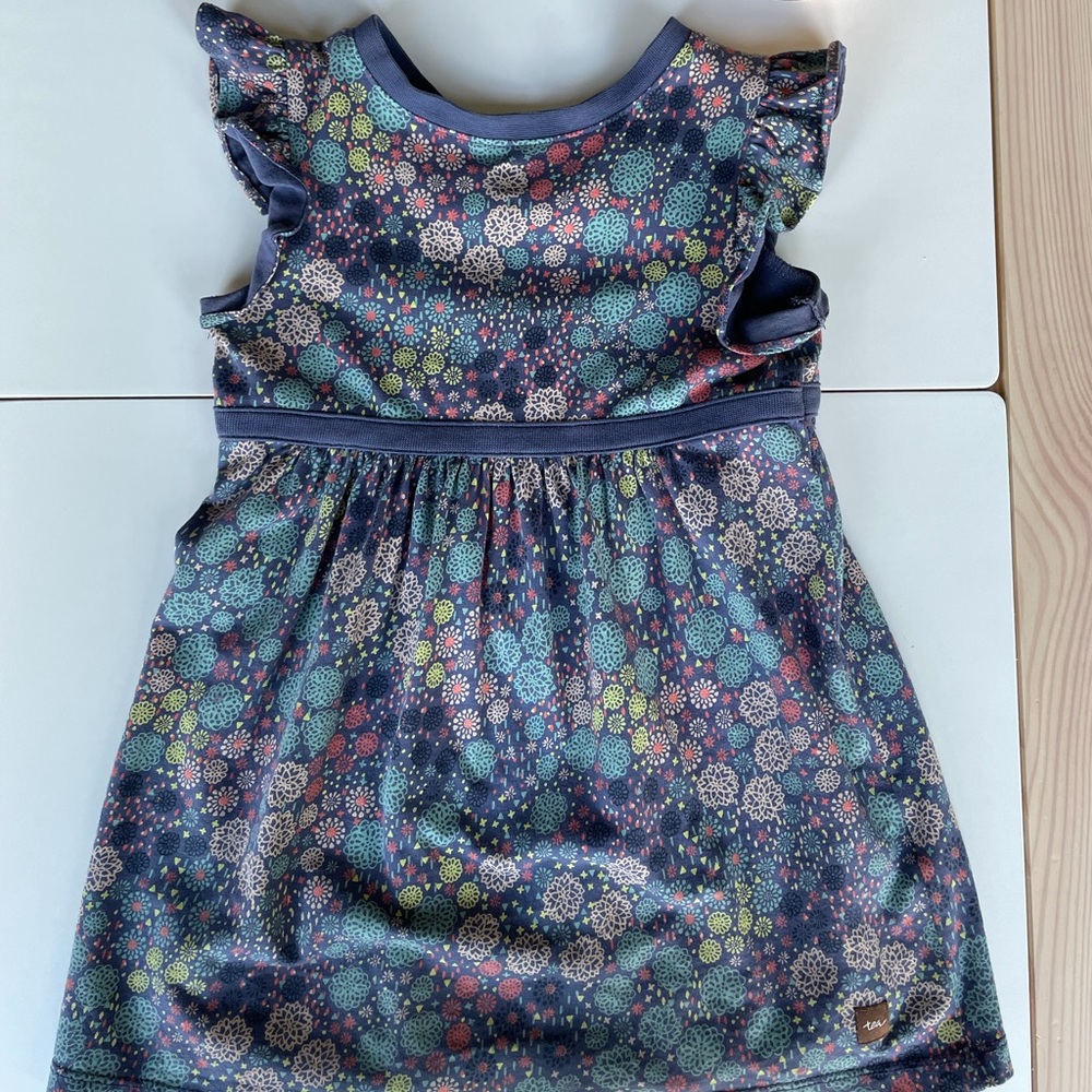 Tea Collection Dress Size 2T